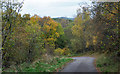 Minor road descending for Grantown-On-Spey