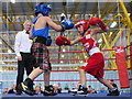 Putting the steel back into Ravenscraig