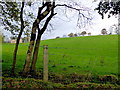 Clanabogan Upper Townland