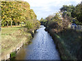 Longford River looking downstream