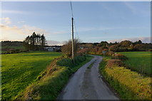 W0448 : Road to Lough Bofinna by Hansjoerg Lipp