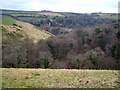 Ashwell Brook valley