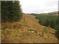 NN2599 : Deer path in forest break north of Meall nan Ruadhag near Loch Garry by ian shiell