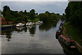 SU6189 : River Thames upstream from Wallingford Bridge by Christopher Hilton