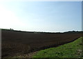 Field near Branthill Farm