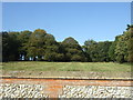 Woodland, Holkham Park