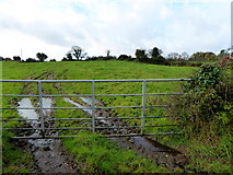 H3480 : Muddy entrance to field, Drumlegagh by Kenneth  Allen