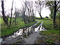 Muddy lane, Envagh