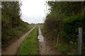 Path from Old Horsham Road to Moorhurst Lane