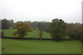 Fields and trees near Moorhurst