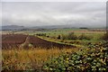 Ploughed field at Trinity Gask