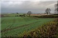 Winter crop at Drum of Cowgask