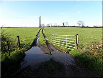 H5264 : Muddy entrance to field, Curr by Kenneth  Allen