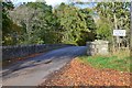 Old bridge over the Ettrick, Lindean