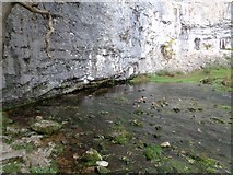 SD8964 : Malham Beck reappears by Ashley Dace