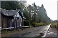 Driveway to Abercairny