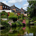 Canal and back gardens at Milton, Stoke-on-Trent