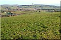 Fields near Ashburton