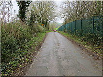 R7912 : Road (L7504) from Carriganleigh to N73 by Peter Wood
