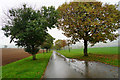 Driveway to Old Chalford