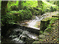 Plas Newydd - upper weir