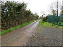 R7711 : Road to Kilgullane by Peter Wood