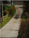 NX7460 : Road into Keltonhill Farm by Richard Sutcliffe