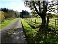 Lisnaharney Road, Castleroddy Glebe