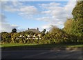 Bungalow on Baldock Road, Cottered