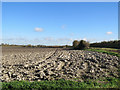 Autumn ploughland in North Hertfordshire