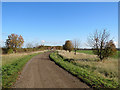 Hinxworth: bridle way to Green Lane