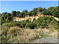 Crumbling cliff, Cliffsend