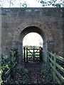 The Teesdale Way passes under the old railway