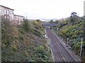 Railway Bridge View