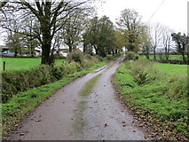 R7516 : Road (L5624) from R517 to Knockanevin by Peter Wood