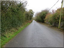 R7713 : Road (L5627) near Killee by Peter Wood