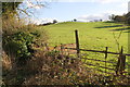 Ruin and fields on south side of Ells Lane