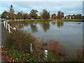 TQ5993 : Pond on Shenfield Common, Brentwood by Malc McDonald