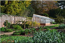 SU5927 : Walled vegetable garden, Hinton Ampner by David Martin