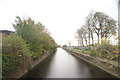 View down the River Lea Navigation from Lockwood Way