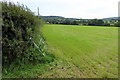 Silage Grass Field next to Wyke Road