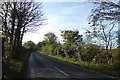 Road beside the river