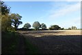 Bridleway north of Kelfield