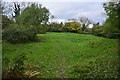 East Devon : Grassy Field