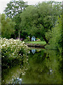 Caldon Canal  south of Endon, Staffordshire