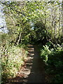 Footpath to the golf course