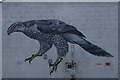 View of goshawk street art on the side of a house on the corner of Coppermill Lane and Rensburg Road