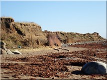 J2105 : Cliff line between Templetown and Cooley Point by Eric Jones