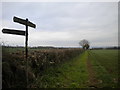 Public footpath east of Watnall