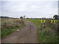 SK5146 : Track off Long Lane west of Hucknall by Richard Vince
